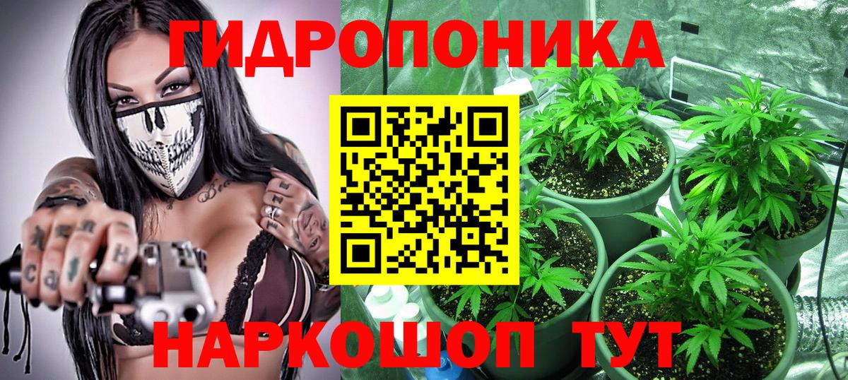 Бошки марихуана VHQ Беслан